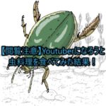 【閲覧注意】Youtuberになろうと虫料理を食べてみた結果！