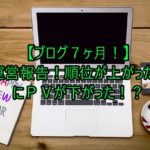 【ブログ７ヶ月！】運営報告！順位が上がったのにＰＶが下がった！？