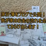 家計簿をブログで公開！我が家のお金の流れを全てさらけ出します！